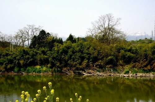 阿武隈川と安達太良山 安達ヶ橋東詰め堤防 安達ヶ原 二本松市