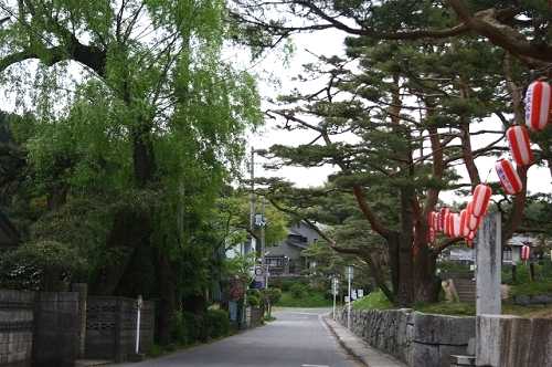旧奥州街道松並木 霞ヶ城前通り 二本松市