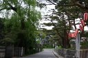 旧奥州街道松並木 霞ヶ城前通り 二本松市