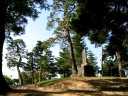 麓山公園 麓山１丁目 郡山市