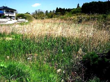 牛ヶ池 牛ヶ池 富久山町八山田 郡山市