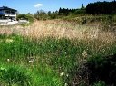 牛ヶ池 牛ヶ池 富久山町八山田 郡山市