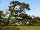 安積山公園 日和田町 郡山市