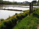 安積沼跡 根柄/北ノ入 日和田 郡山市