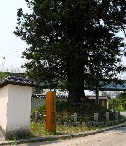 黒塚 安達ヶ原 二本松市