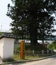 黒塚 安達ヶ原 二本松市