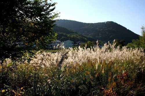 松川より信夫山方面 福島市