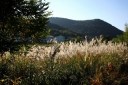 松川より信夫山方面 福島市