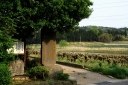 信夫隠の碑 信夫隠 松川町 福島市