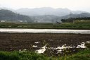 信夫隠 松川町 福島市