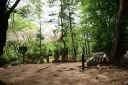 共楽園 伏拝 福島市