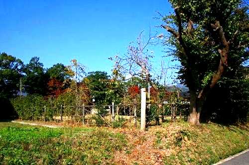 藤田城跡 藤田 国見町 伊達郡