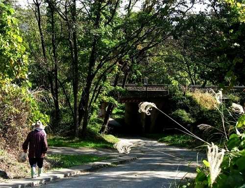 厚樫山への道 東北本線 国見町 伊達郡