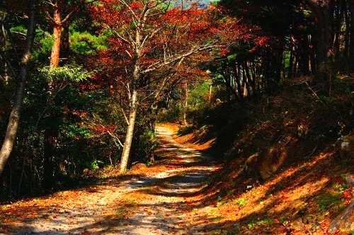 阿津賀志山 国見町 伊達郡