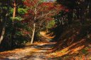 阿津賀志山 国見町 伊達郡