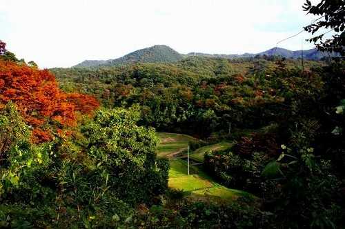 馬牛沼 東方 斎川 白石市