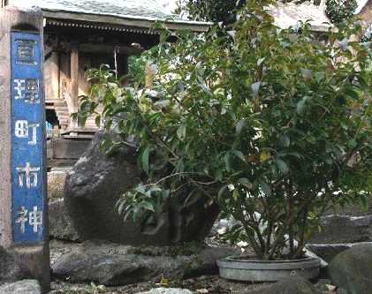 亘理町市神 亘理町 白石市