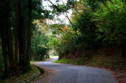 奥州街道旧道（大高山神社裏参道） 金ヶ瀬 大河原 柴田郡