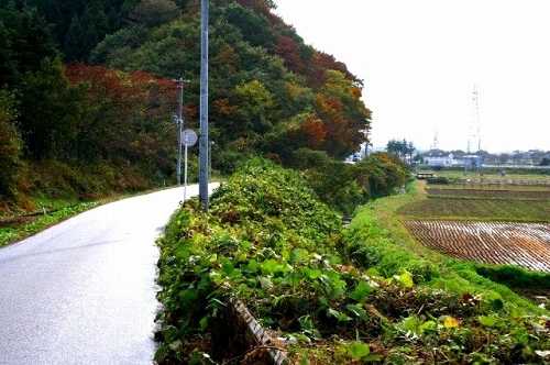 旧道 東船迫 柴田高校西側