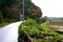 旧道 東船迫 柴田高校西側
