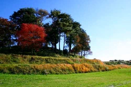 国指定史跡 雷神山古墳 植松 名取市