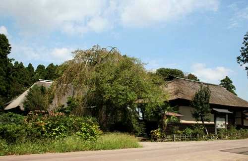洞口家住宅 中小路 名取市