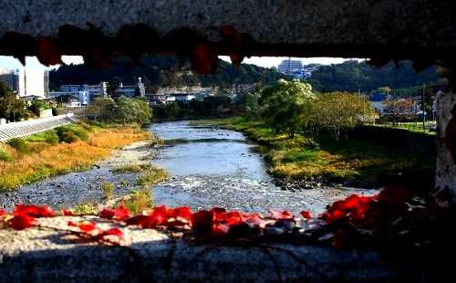 大橋より広瀬川 川内追廻方面