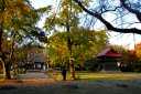 陸奥国分寺跡 史跡公園 木下２丁目 若林区 仙台