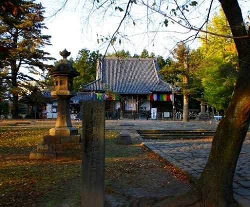 陸奥国分寺薬師堂 木下２丁目 若林区 仙台