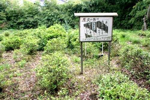 とみや茶畑 富谷町 富谷町 黒川郡 宮城県