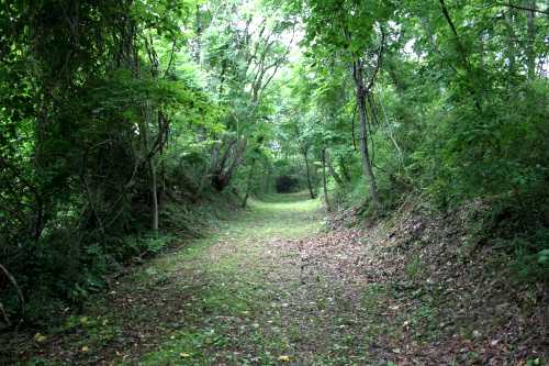 奥州街道跡 松の平２丁目 大衡村 黒川郡 宮城県