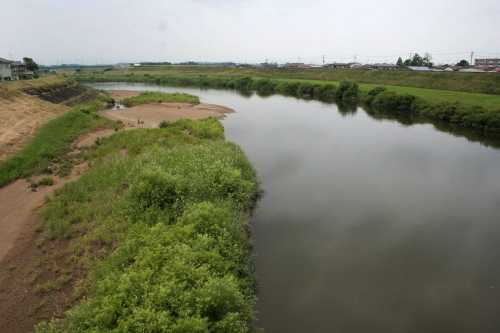 鳴瀬川 三本木 大崎市 宮城県