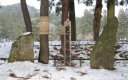 芭蕉句碑 平泉町 西磐井郡 岩手県