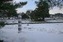 無量光院跡 平泉町 西磐井郡 岩手県