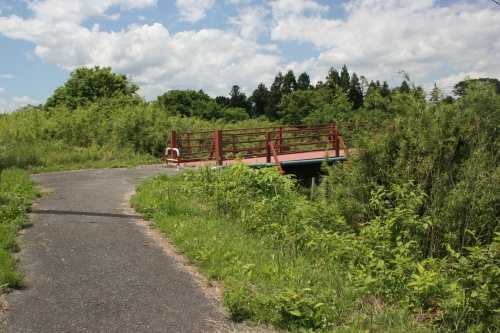 芋埣（いもぞね）川 ・二迫（にのはざま）川 富富前 築館 栗原市 宮城県