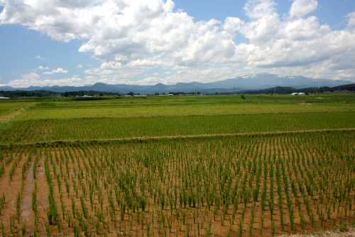 栗駒山眺望 富荒瀬沖 築館 栗原市 宮城県