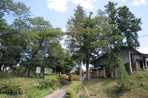 姉歯の松 南沢 金成梨崎 栗原市 宮城県