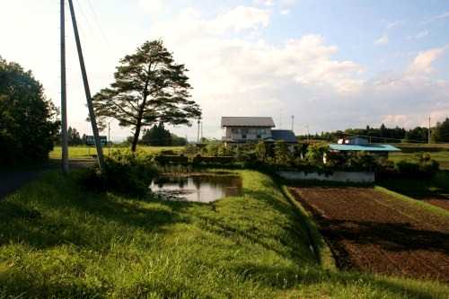 旧奥州街道 末野新鹿野下 金成 栗原市 宮城県