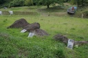 鬼石 牧田 真柴 一関市 岩手県