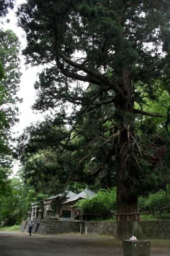 配志和神社 山目館 一関市 岩手県