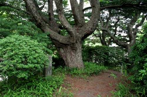 松平氏の墓 水沢公園内 中上野町１丁目 水沢区 奥州市 岩手県