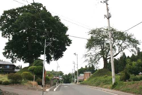 成田一里塚 成田５・２８地割 北上市 岩手県
