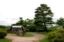 「おいらん松」と「北上夜曲歌碑」 北上展勝地 立花 北上市 岩手県