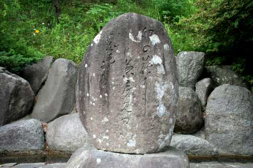卯の花に兼房みゆる白毛かな 曽良