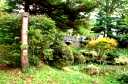 花巻城本丸跡 城内１１ 花巻市 岩手県
