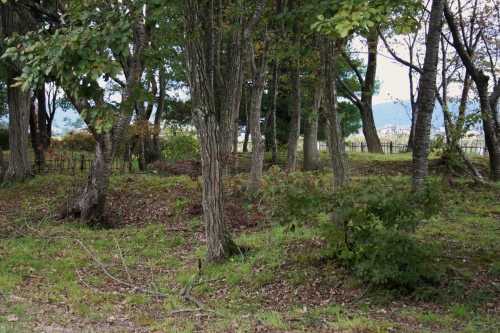 宮野目方八丁遺跡 葛第１地割 花巻市 岩手県