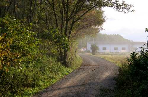 鎌倉街道跡(旧奥州街道) 犬渕上田/片寄野尻 紫波町 紫波郡 岩手県