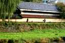 茣蓙九 紺屋町１ 盛岡市 岩手県