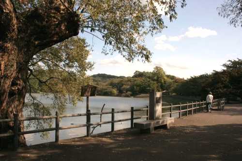 上田堤（高松の池） 高松１丁目 盛岡市 岩手県