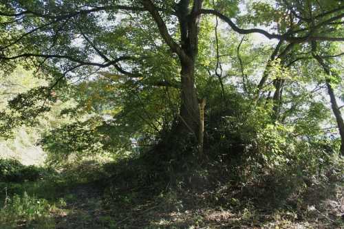 笹平一里塚 玉山区門前寺笹平 盛岡市 岩手県
